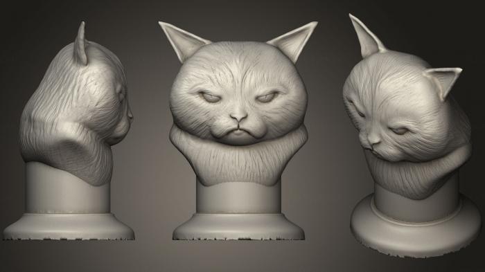 نموذج ثلاثي الأبعاد لآلة CNC أقنعة وكمامات الحيوانات تمثال نصفي القط غاضب